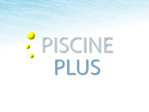 PH PLUS POUDRE 10 KG TRAITEMENT PISCINE PLUS