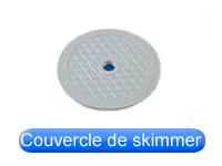 Bride Couvercle joint & Volet de skimmer