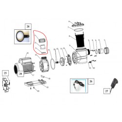 Couvercle transparent préfiltre pour pompes poolmax ( 6 )