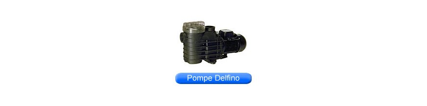 Pièces détachées de pompe Delfino