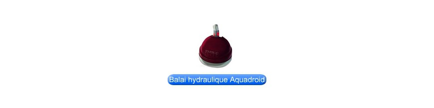 Pièces détachées Poolvac Aquadroid